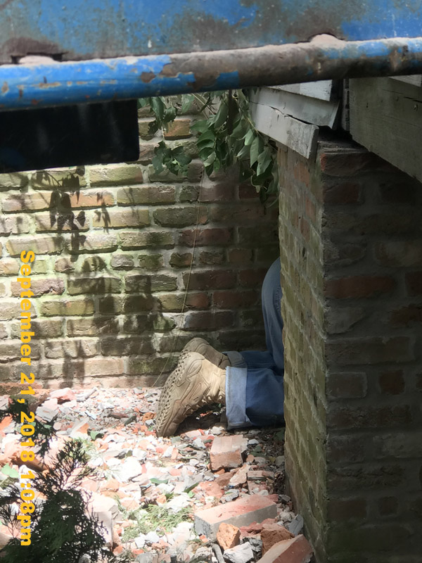 IMG_2421
