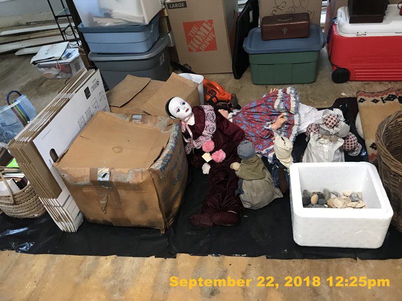 IMG_2455