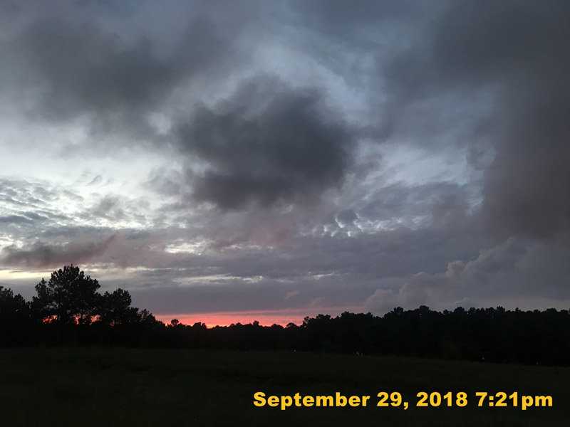 IMG_2905