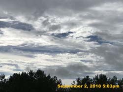 IMG_1391