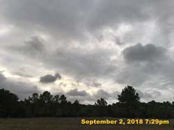 IMG_1398