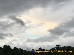 IMG_1401