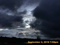 IMG_1411