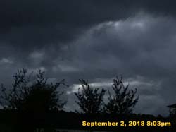 IMG_1419