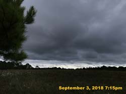 IMG_1439