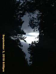 IMG_1447