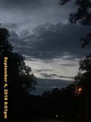 IMG_1524