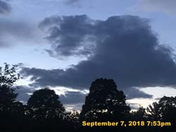 IMG_1706