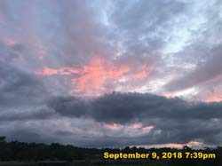 IMG_1761
