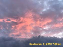 IMG_1762