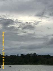 IMG_1810