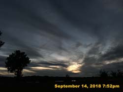 IMG_1965