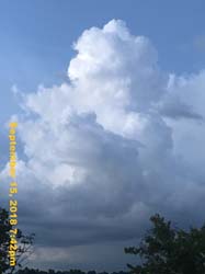 IMG_2037