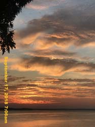IMG_2155