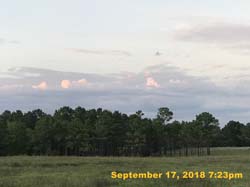 IMG_2205