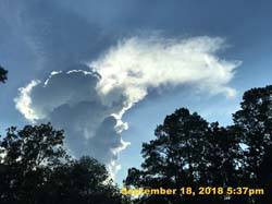 IMG_2250