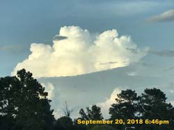 IMG_2353