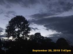 IMG_2389