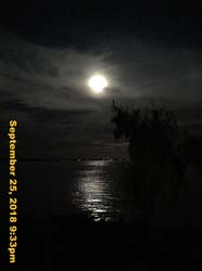 IMG_2763