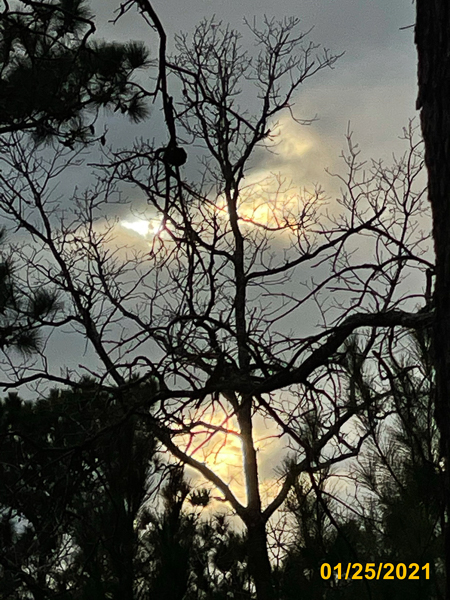0300