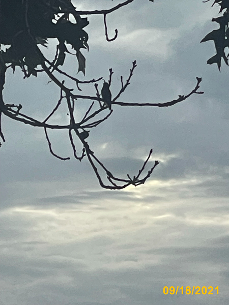 0745