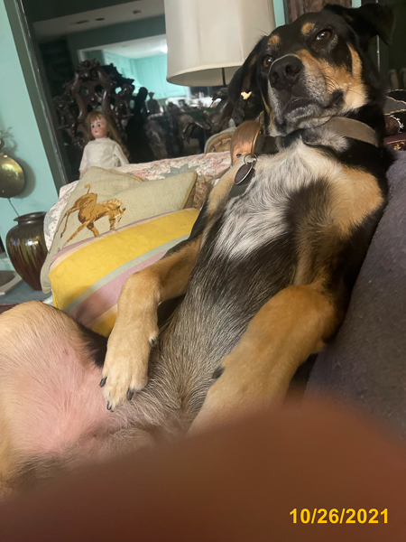 0355