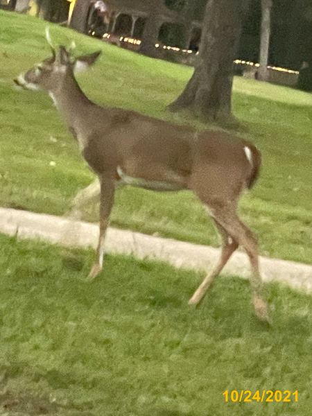 1321