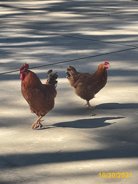 1506