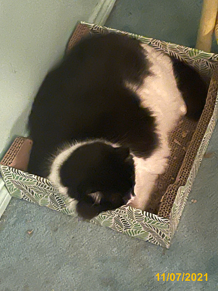 0470