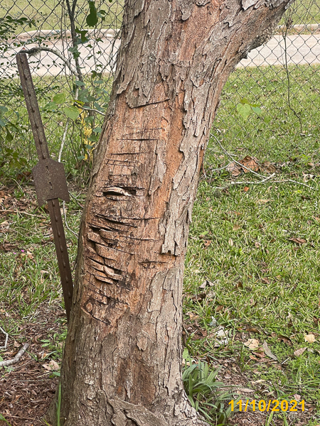 0528