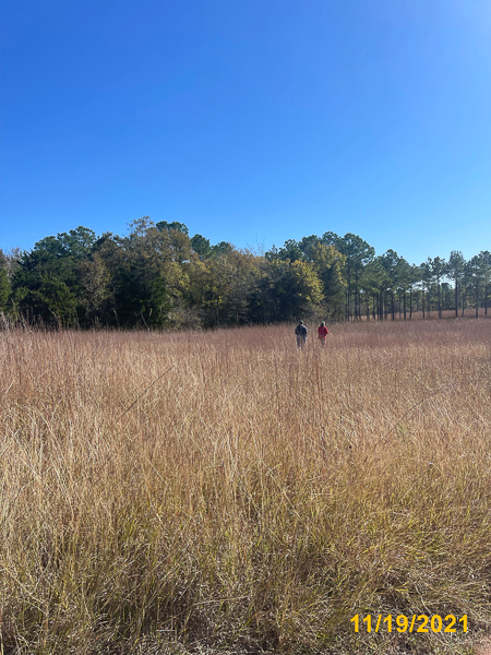 0785