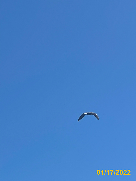 0501