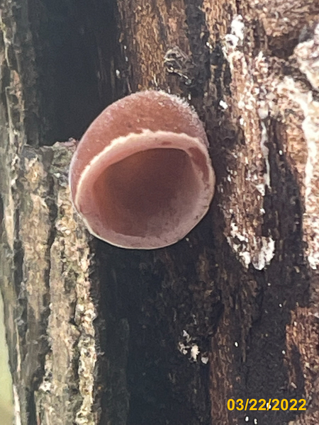 0688