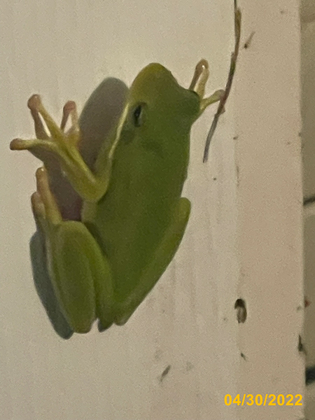 0805