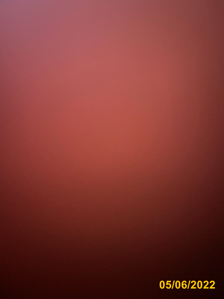 0291
