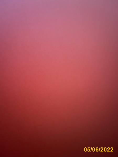 0295