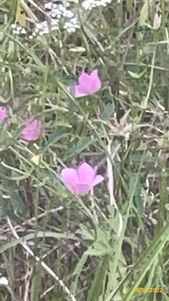 0753