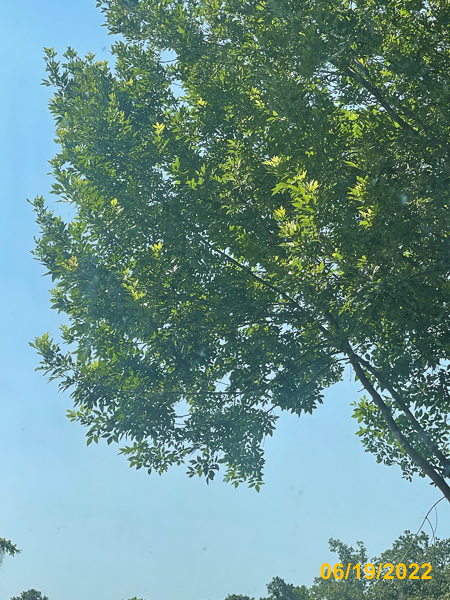 0093