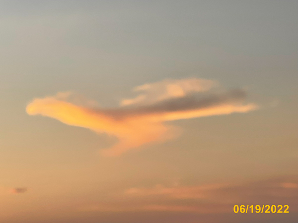 0564