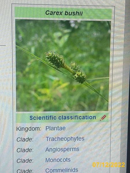 1043