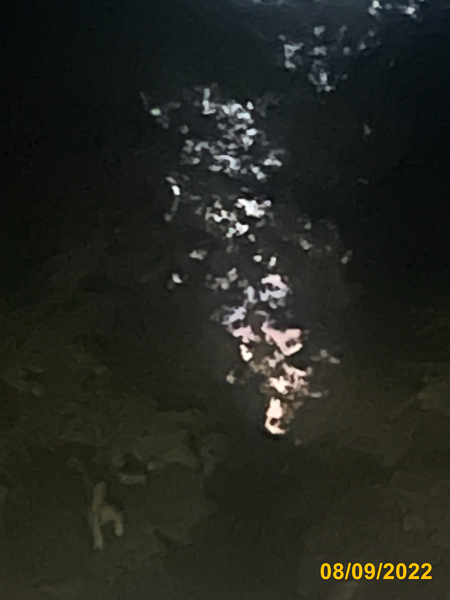 0606