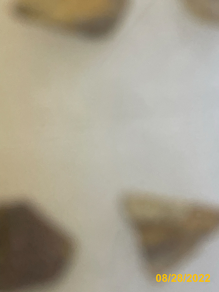 1007