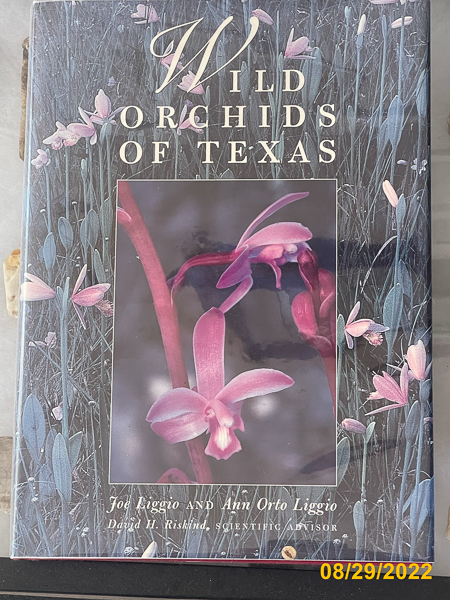 1019