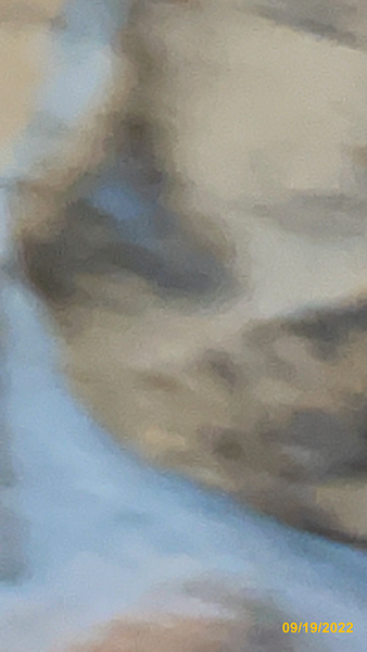0642