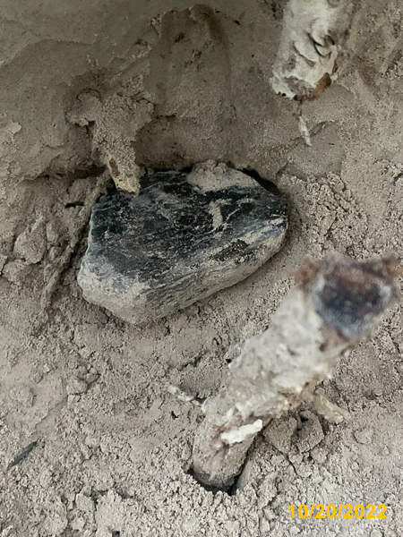 0081