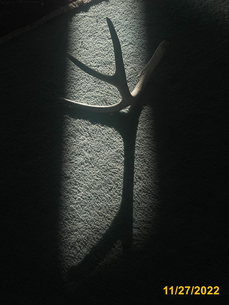 0729