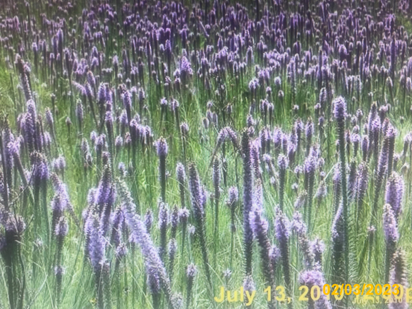 0201