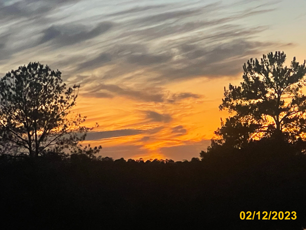 0495