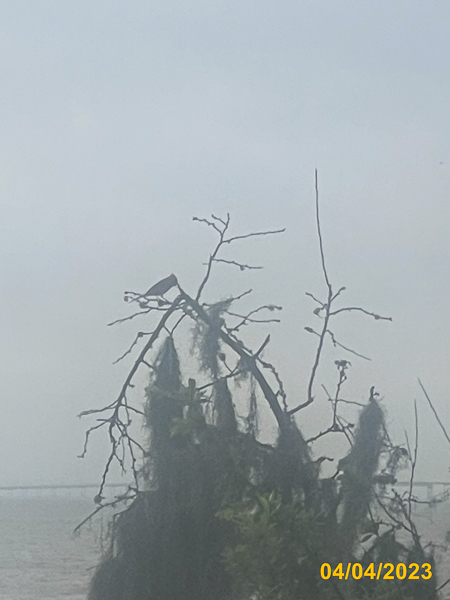0119