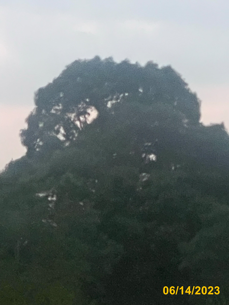 0513